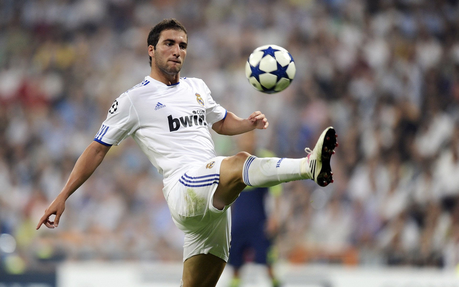 开云体育链接-“美洲狮队新一代球员表现出色，未来值得期待”